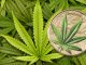 Benin 2021 1000 Francs Cannabis Sativa High Relief Gilded