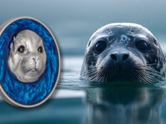 The Seal 2026 Cameroon 1oz Silver Antiqued coin - Above the Surface series