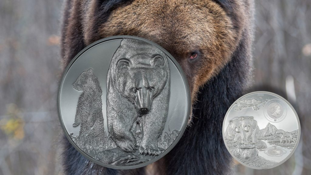 Ghana 2024 50 Cedis 5oz Silver Brown Bear Growing Up Series Silver Coin