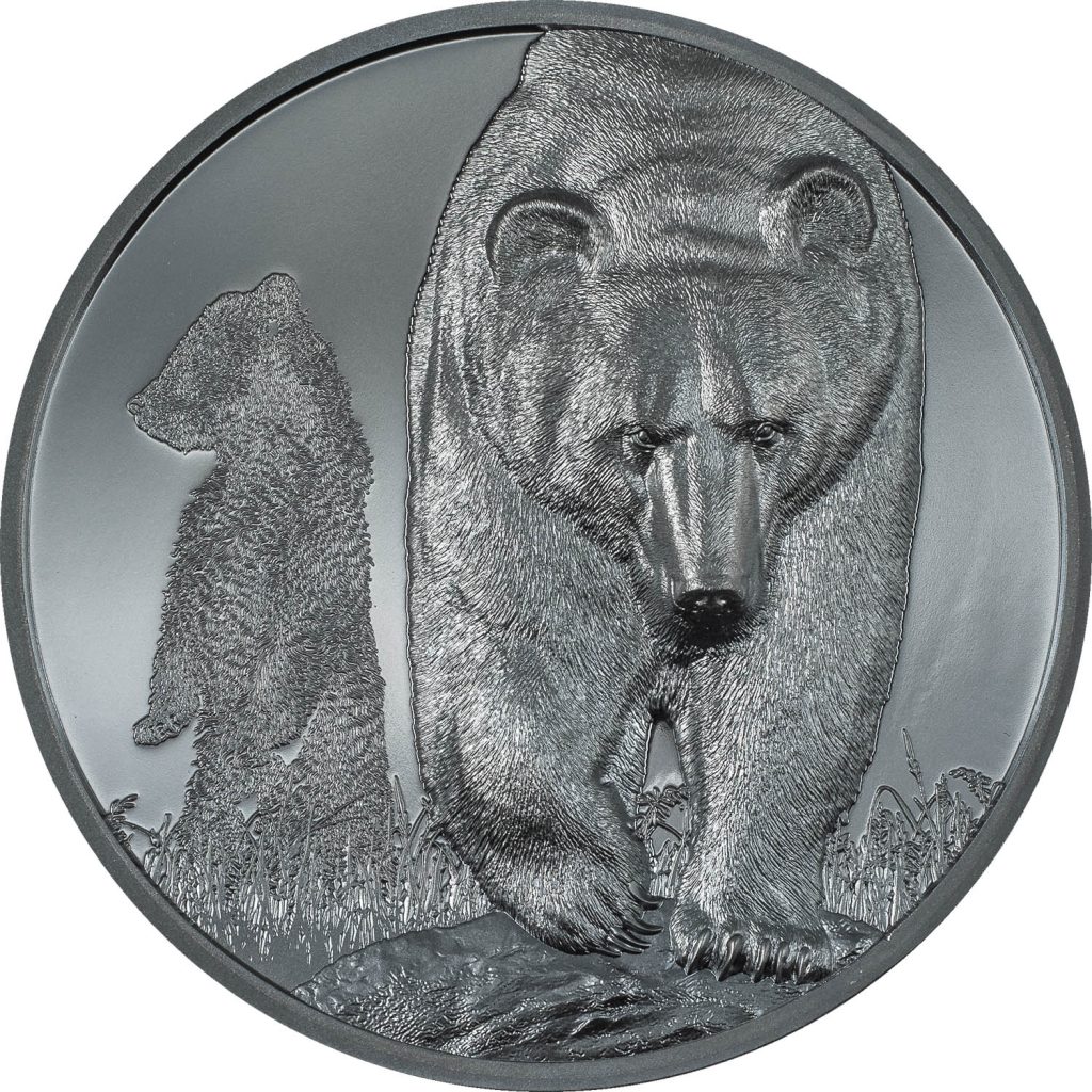 Ghana 2024 50 Cedis 5oz Silver Brown Bear Growing Up Series Silver Coin