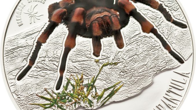 Niue 2012 1 Dollar Mexican Redknee Tarantula Silver Coin