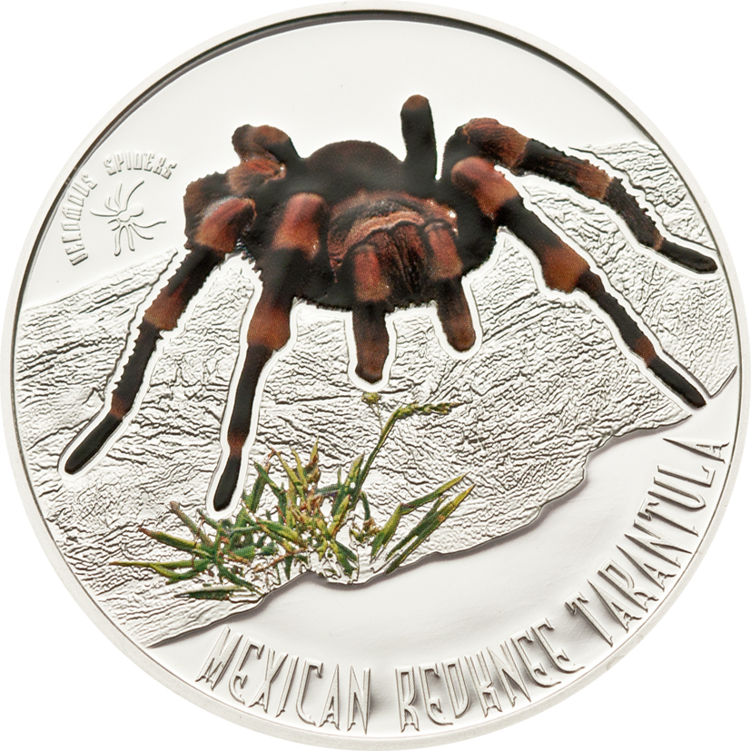 Niue 2012 1 Dollar Mexican Redknee Tarantula Silver Coin