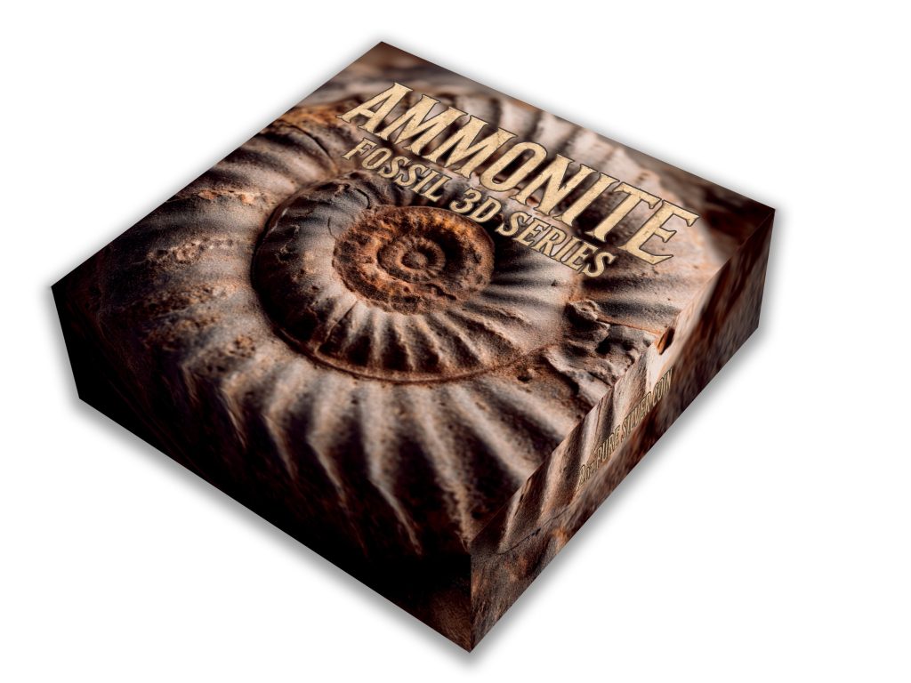 Ammonite - Fossil 3D Series UHR Shaped Niue Island 2026 2oz pure silver coin