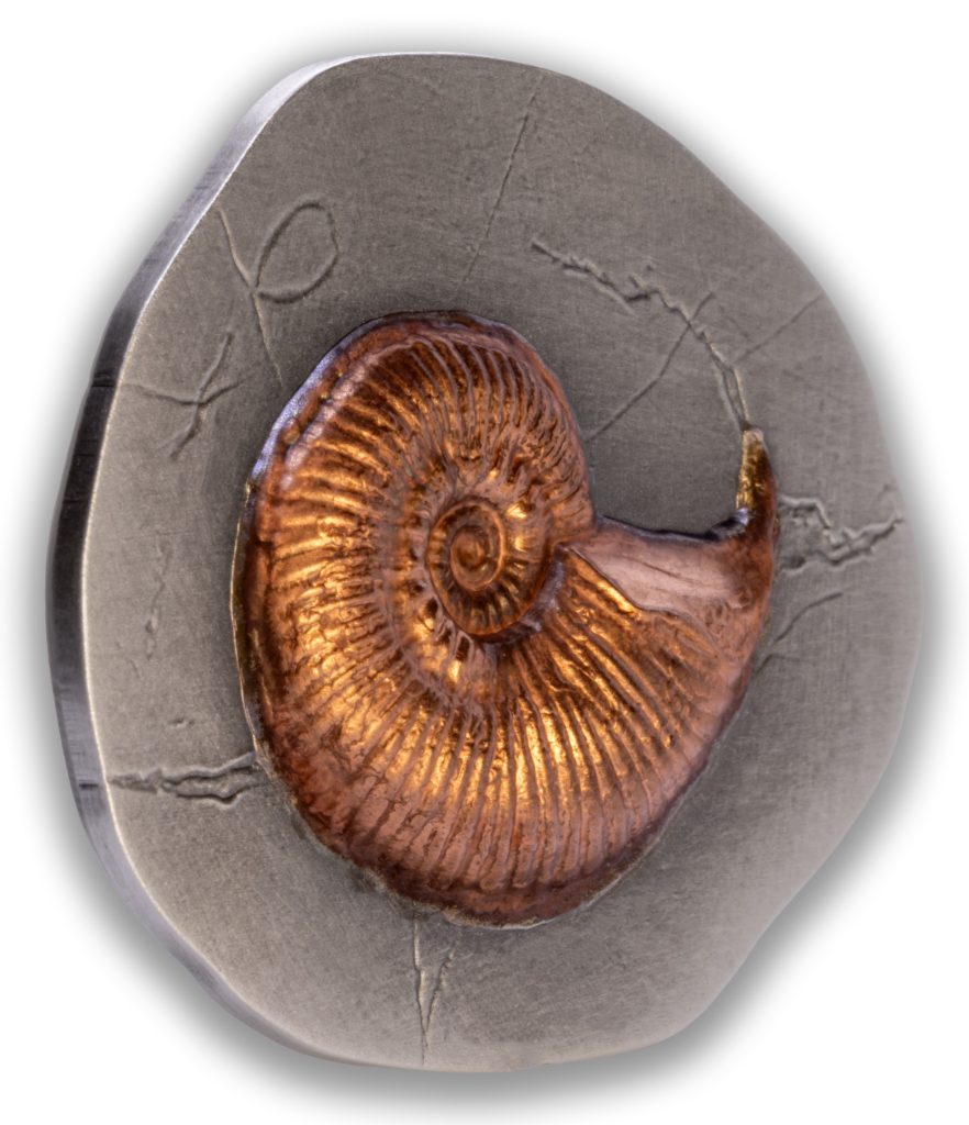 Ammonite - Fossil 3D Series UHR Shaped Niue Island 2026 2oz pure silver coin