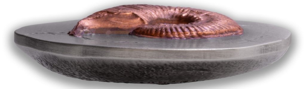 Ammonite - Fossil 3D Series UHR Shaped Niue Island 2026 2oz pure silver coin