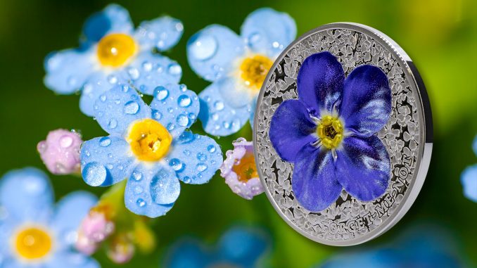 Palau 2023 10 Dollars Forget Me Not flower pure 2oz silver coin