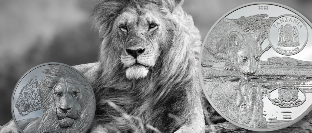 Tanzania 2022 3000 Shillings Lions 5oz - Growing Up silver proof coin