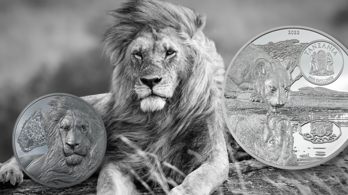 Tanzania 2022 3000 Shillings Lions 5oz - Growing Up silver proof coin